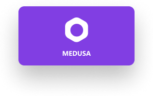 Medusa Icon